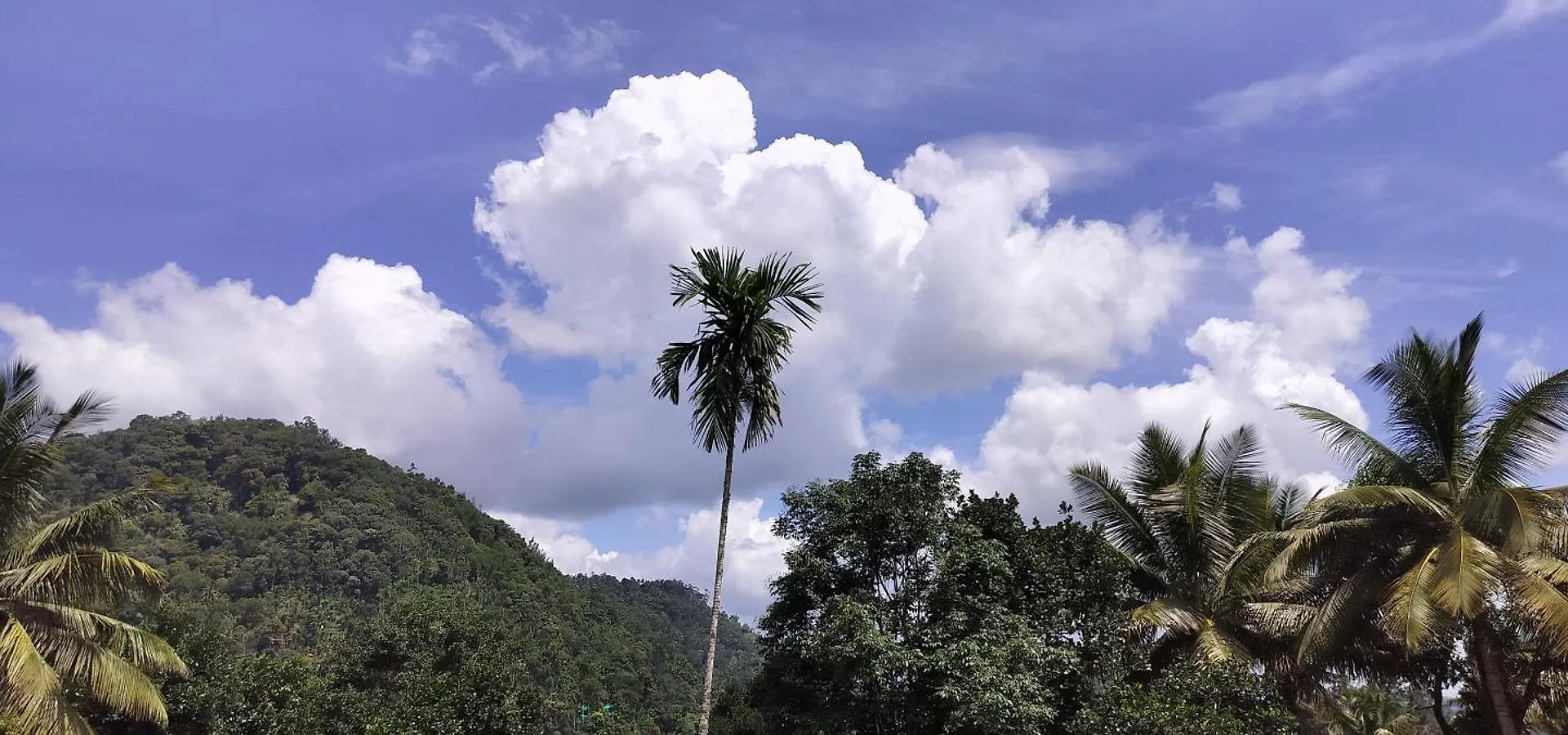 Himadri Munnar Holidays